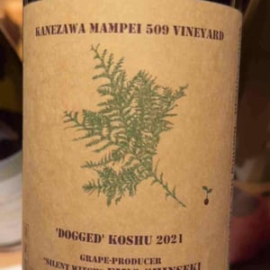 Dogged Koshu - Yellow Magic Winery - Sumito Iwaya -2021