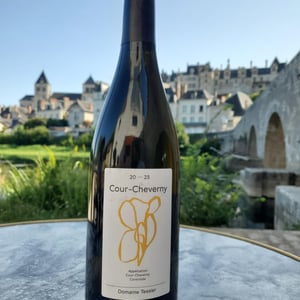 Domaine 2023 - Tessi - Philippe et Simon Tessier -2023