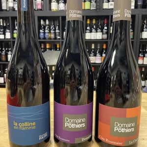 Domaine - Domaine des Pothiers - Denise, Georges & Romain Paire 