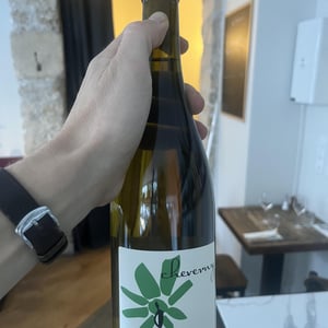 Cheverny (blanc) - Domaine - Hervé Villemade - herve-villemade