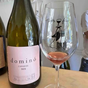 Dominó - Caparidr - rita-vitor-claro -2022