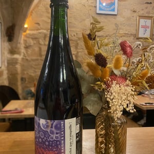 Du raisin à la lune - AntocyÂme - muriel-zoldan -2018