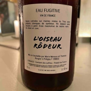 EAU FUGITIVE - L'Oiseau Rôdeur - marie-menoux-thomas-rougier -2023