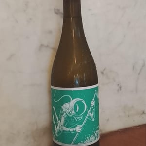 El Cosmonauta en el barranco de agua - El Mozo Wines - Bodegas Compañon Arrieta - El Mozo 