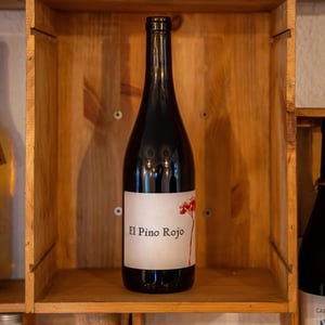 El Pino Rojo - Barranco Oscuro - manuel-lorenzo-valenzuela