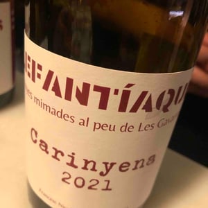 ELEFANTÍAQUES CARINYENA - ELEFANTÍAQUES - elefantiaques -2021