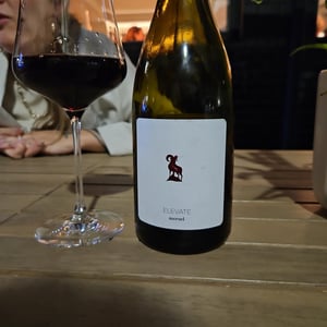 Elevate - Mersel Wine - eddie-chami -2021