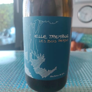 Elle Tremble - Les Bois Perdus - lena-perdu-alexis-robin
