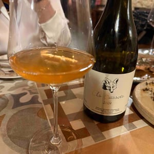 Els Bassotets - Celler Escoda Sanahuja - Joan Ramón Escoda Martinez -2022
