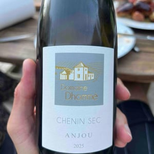 En Chenin - Domaine Ogereau - Vincent & Emmanuel Ogereau 