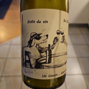 Enfin du Vin - Domaine Cousin-Leduc - olivier-cousin -2024