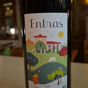 Entras blanc - Domaine Entras - Michel Maestrojuan -2021