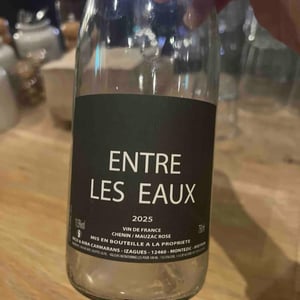 Entre Les Eaux - Nicolas Carmarans - Nicolas Carmarans