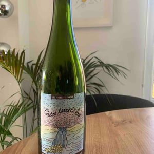 Entre Terre et Loue - Les Vignes à Fanfan - francois-aubert