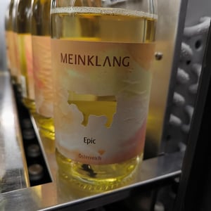 Epic - Meinklang - Weingut Michlits - Angela & Werner Michlits -2022