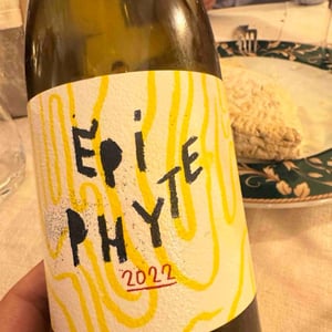 Epiphyte - Sandrine Farugia - Sandrine Farrugia 