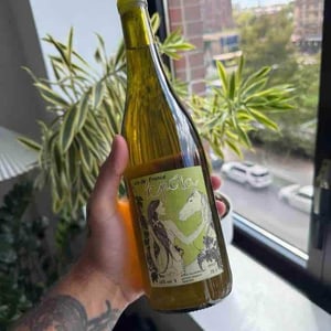 Épona - Domaine des Griottes - patrick-desplats