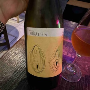 Erratica Brissat - Los Comuns - Jordi Escoda & Agusti Perello