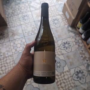 Esperanza Blanc - Domaine Carterole - Joachim Roque -21