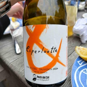 Esperluette - Domaine Du Pech Del Cel - Laure et Grégory Aurel -2023