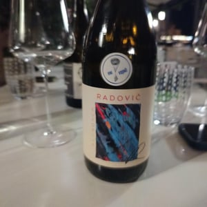 Eufoijal vini volanti - Radovič - peter-radovic