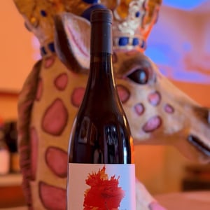 Euforia Mencia - Quinta da Boavista - Terras de Tavares - João Tavares de Pina 
