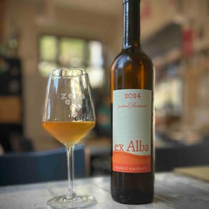 ex Alba - Podere Pradarolo - Alberto Carretti