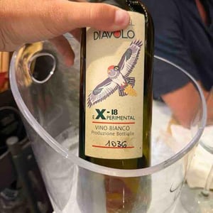 eXperimental - Societa Agricolà Casa Del Diavolo - federica-sala -2018