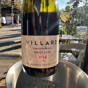 Expression - Villard Fines Wines - villard-fines-wines -2019