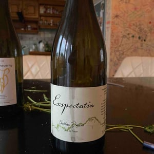Exspectatia - Christian Ducroux - christian-ducroux
