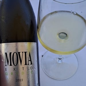 Exto Gredič - Movia - ales-kristancic -2022