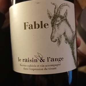 Fable - Le Raisin et l'Ange - gilles-antonin-azzoni
