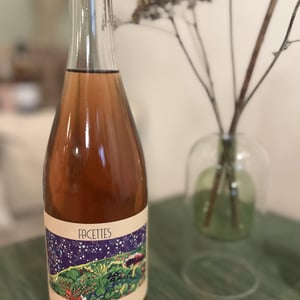 Facettes - Domaine Les Abrigans - laura-lees-arthur-joly -2021