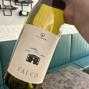 Falco (Bianco) - Fattoria del Piccione - stefano-pasini -2024