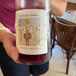 Faugères - Domaine Fréderic Brouca - Fréderic Brouca