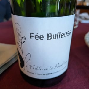Fée Bulleuse - La Vrille et le Papillon - Géraldine & Méryl Croizier -2023