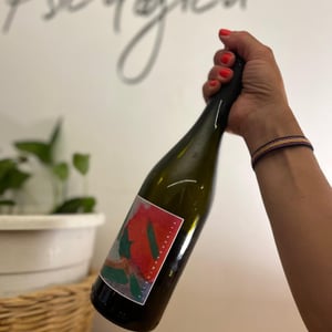 Filari Margherita - Azienda Alberto Lot - Alberto Lot 