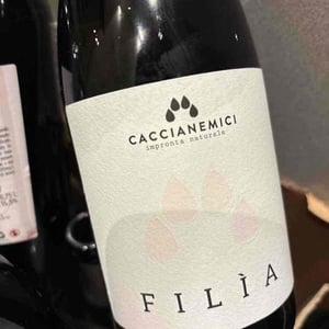 Filìa - Caccianemici BioAutoctona S.S. Società Agricola - antonio-colliva-walter-iannini-giovanni-freddi -2021