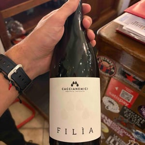 Filìa - Caccianemici BioAutoctona S.S. Società Agricola - Antonio Colliva, Walter Iannini, Giovanni Freddi -2021