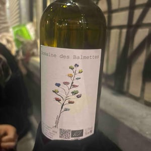 Fleur D’agave - Domaine des Balmettes - Lucien Salani -2022