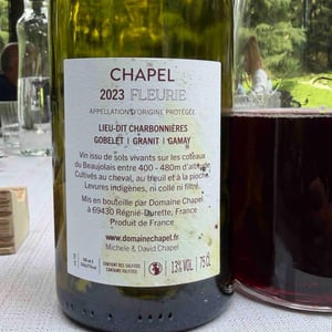 Fleurie "Charbonnières" - Domaine Chapel - david-chapel-michele-smith-chapel -2019