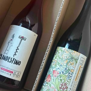Flora - Sete - Vini Naturali - Emiliano Giorgi, Arcangelo Galuppi, Martina D’Alessio 