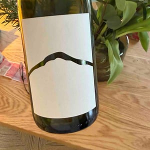 Fogosch - Joiseph Weingut - Richard Artner, Xandl Kagl & Luka Zeichmann 