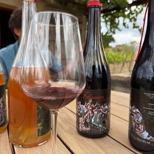 Follaraïms - Cellers De Madremanya - nil-roca