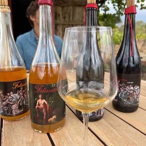 Follaraïms - Cellers De Madremanya - nil-roca -2024