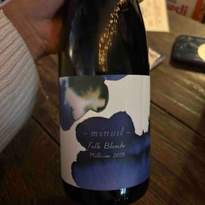 Folle Blanche Minuit - 1006 Vins de Loire - Pauline Lair -2024