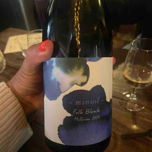 Folle Blanche Minuit - 1006 Vins de Loire - Pauline Lair -2024