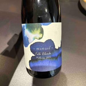 Folle Blanche Minuit - 1006 Vins de Loire - Pauline Lair -2024