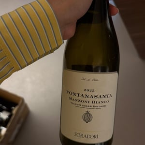 Fontanasanta Manzoni Bianco - Azienda Agricola Foradori - Elisabetta Foradori 