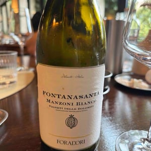 Fontanasanta Nosiola 1,5L - Azienda Agricola Foradori - Elisabetta Foradori -2020